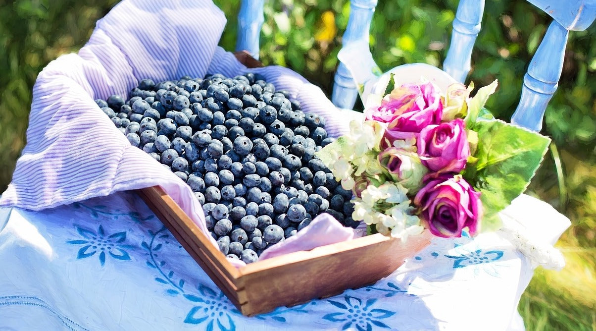 Blueberries in a basket with flowers