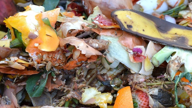 food scraps in compost