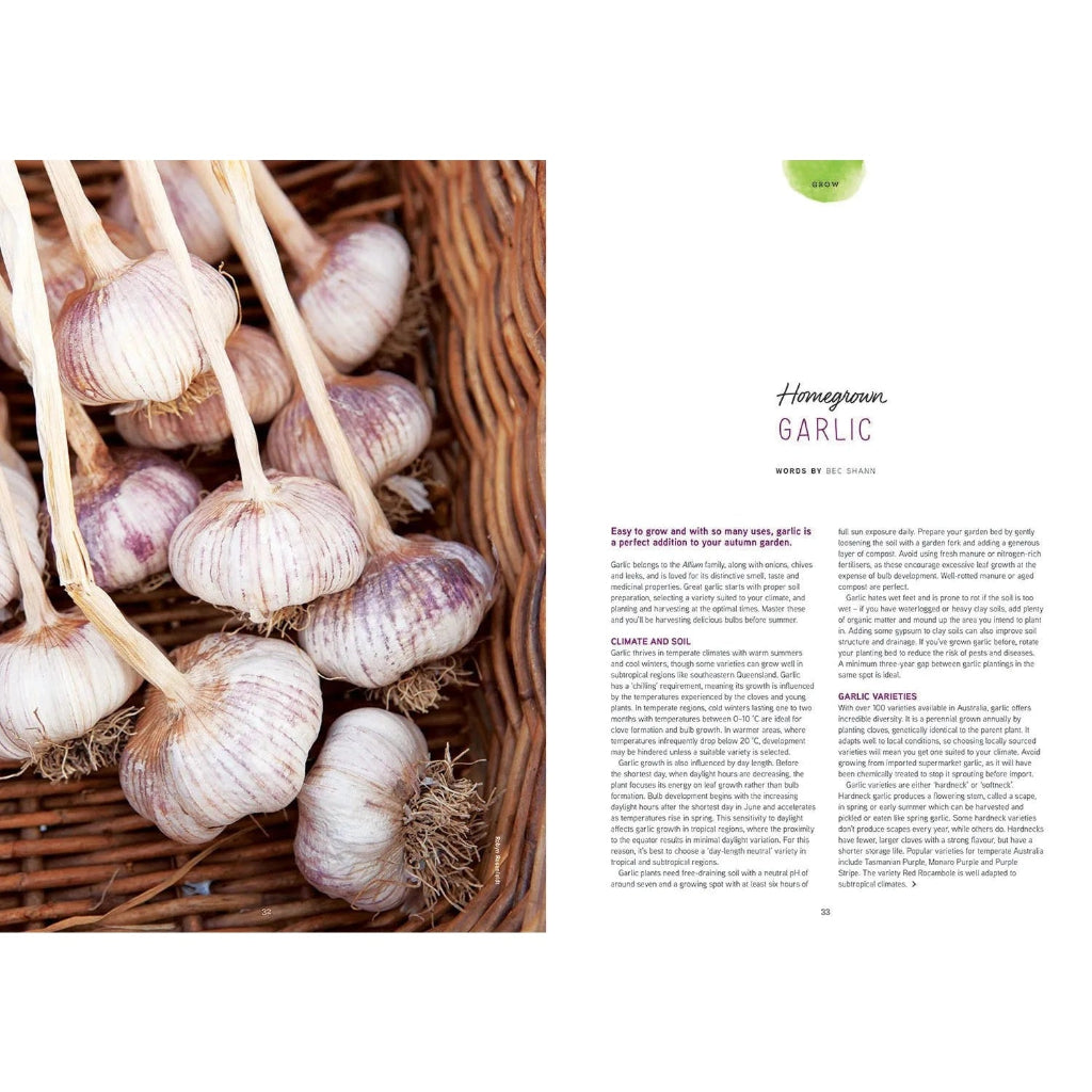 Pip Magazine Article in Issue 35 - Homegrown Garlic.