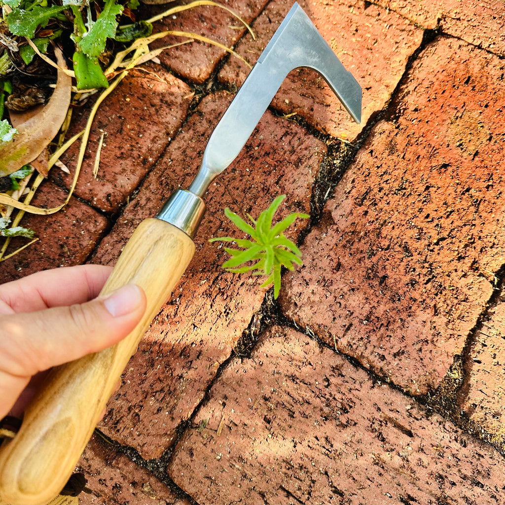 Stainless Steel Pavement Weeding Knife with Ash Wood Handle.