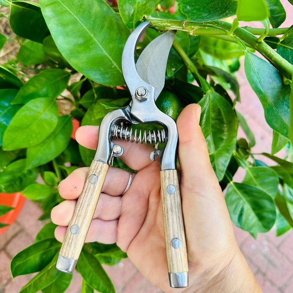 Ashwood Traditional Garden Secateur with Stainless Steel Blades and Ash Wood Handles.