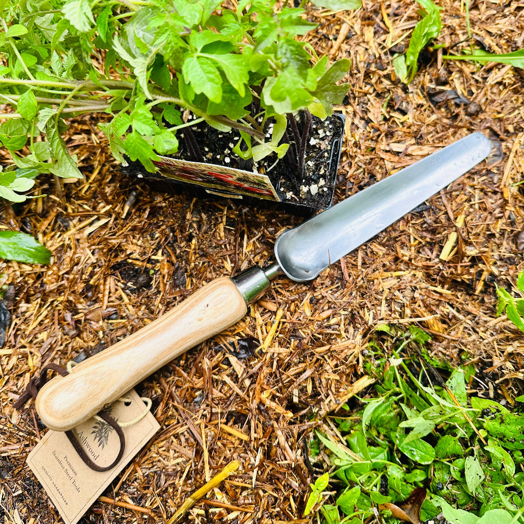 Ashwood Stainless Steel Widger in Veggie Patch.