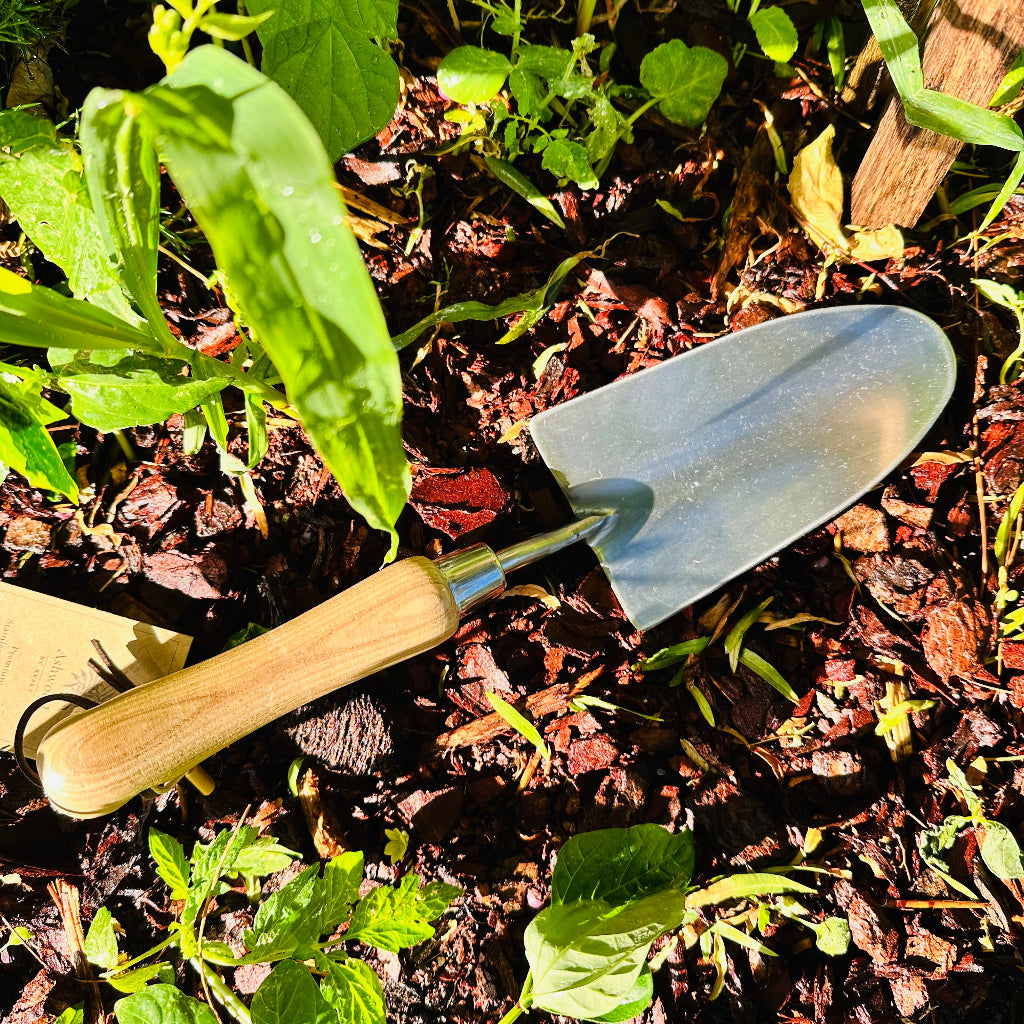 Stainless Steel Traditional Wide Blade Trowel with Ash Wood Handle for Multi-Use Garden Jobs.