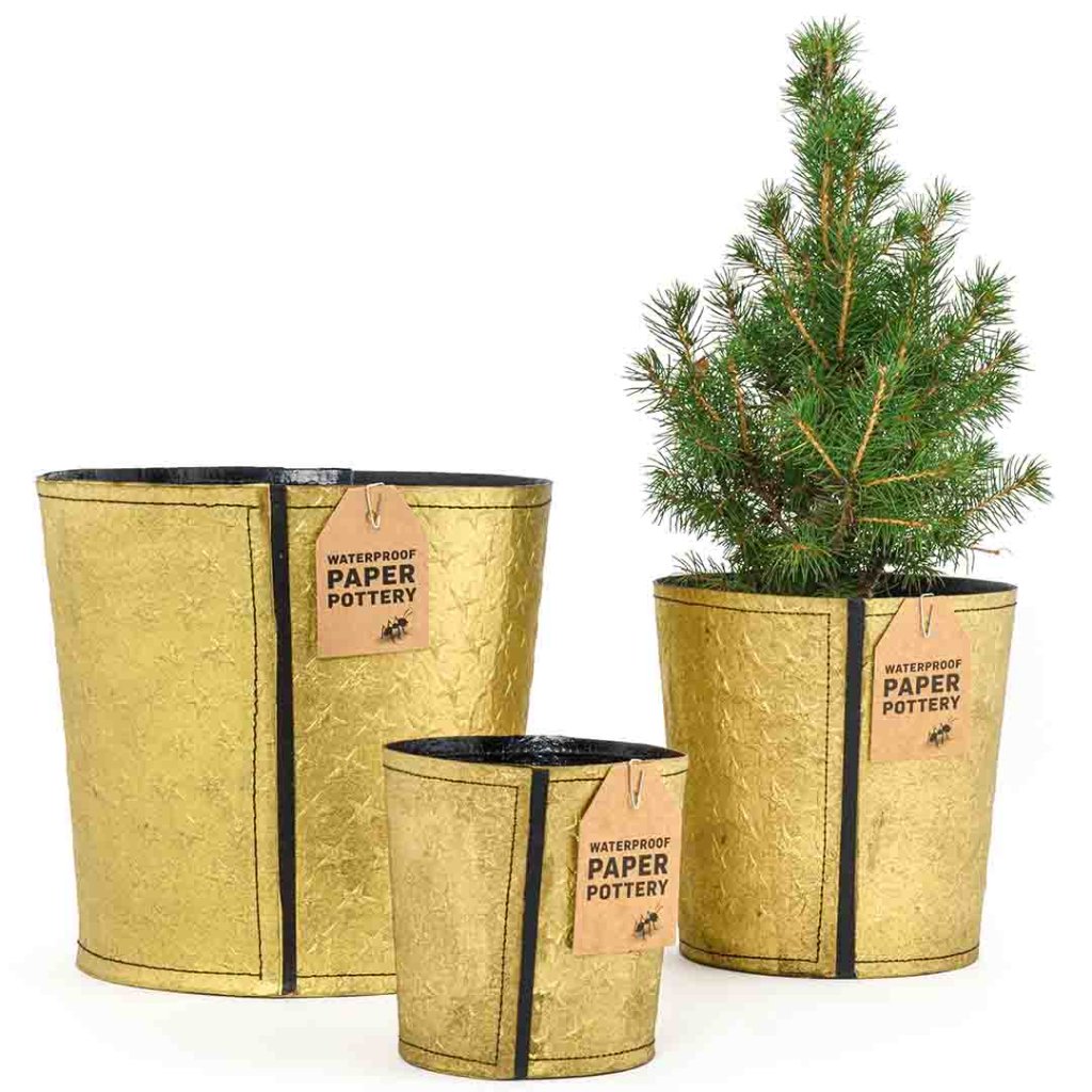 Eco Max Paper Pottery Flexi Pots - Gold Stars