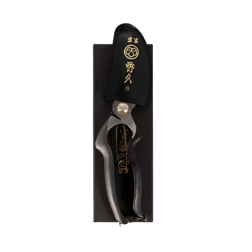 Handmade Japanese Secateurs 180mm from Japanese Tools Australia. Presented in Gift Box with Faux Leather Sheath.