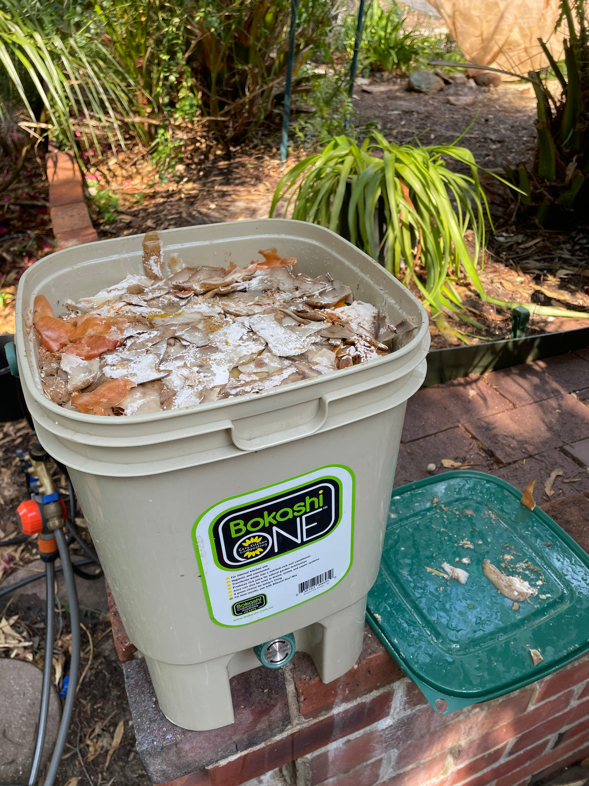 Bokashi bucket with lid open