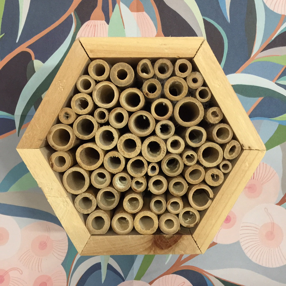 Wooden (Bamboo) Bee Hotel - Hexagon