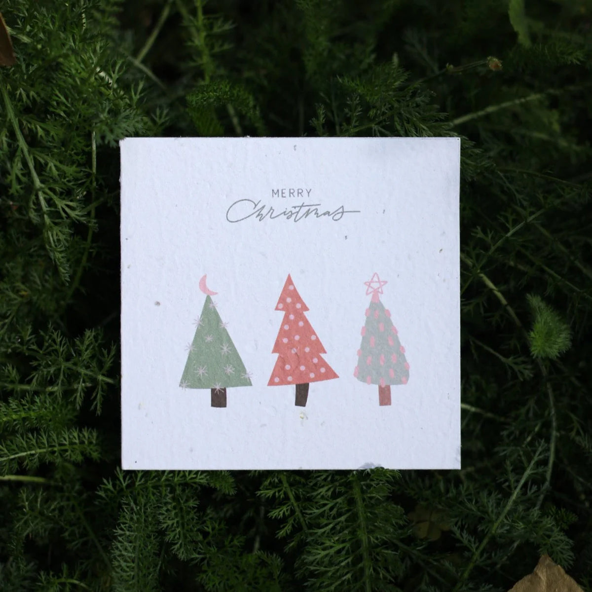 Plantable Christmas Cards by The Paper Daisy Co.