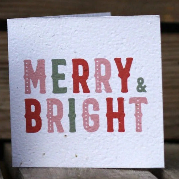 Plantable Christmas Cards by The Paper Daisy Co.