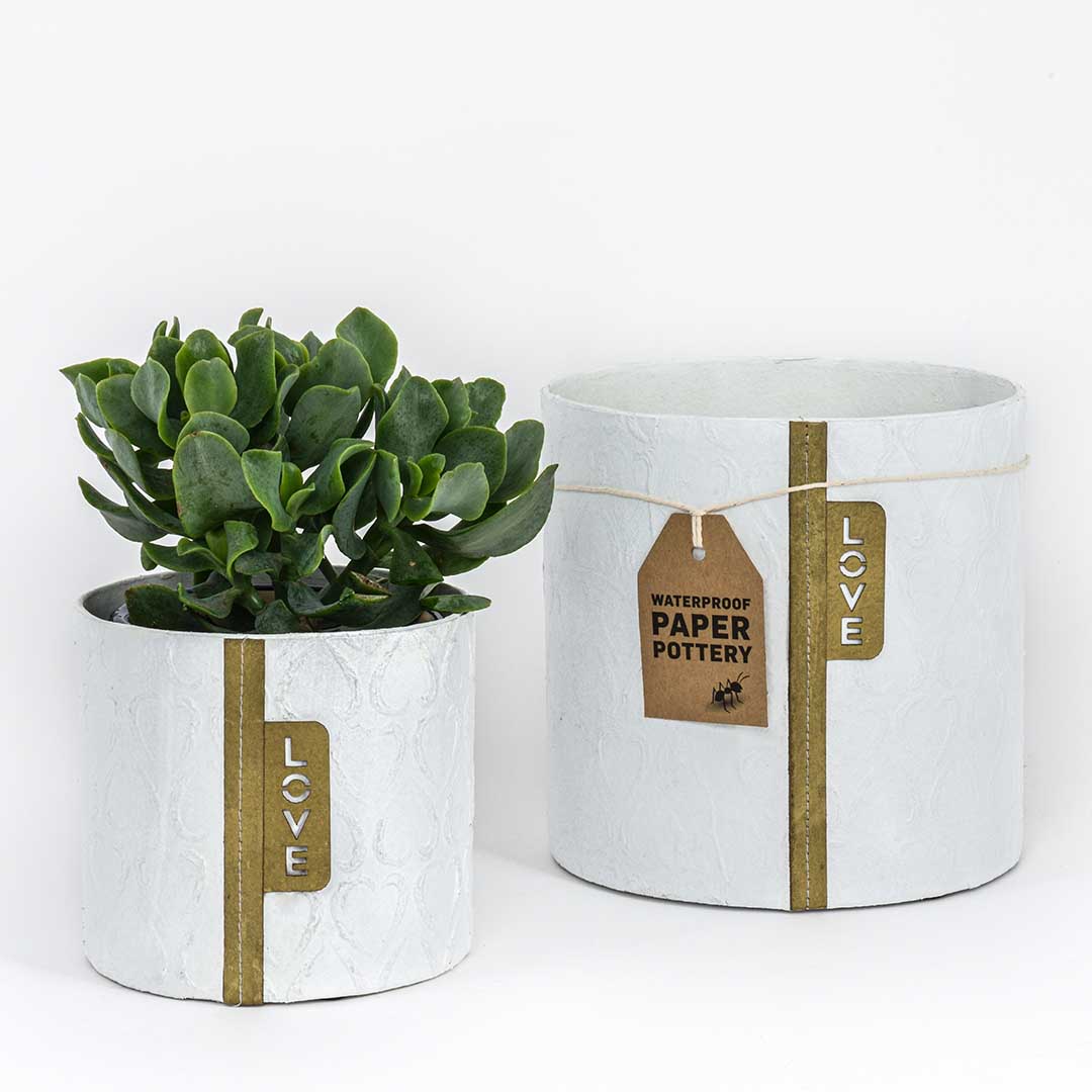 Eco Max Paper Pottery Plant Pot - Love Hearts