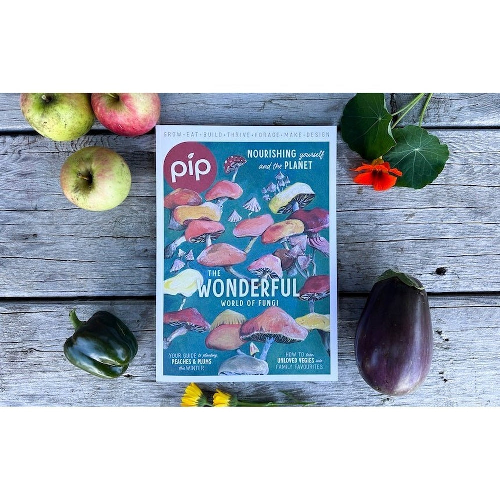 Pip Magazine Issue 28 Front Cover - The Wonderful World of Fungi