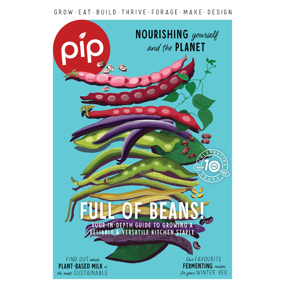 Pip Magazine Issue 33 with Bean Pods on Cover, Urban Revolution