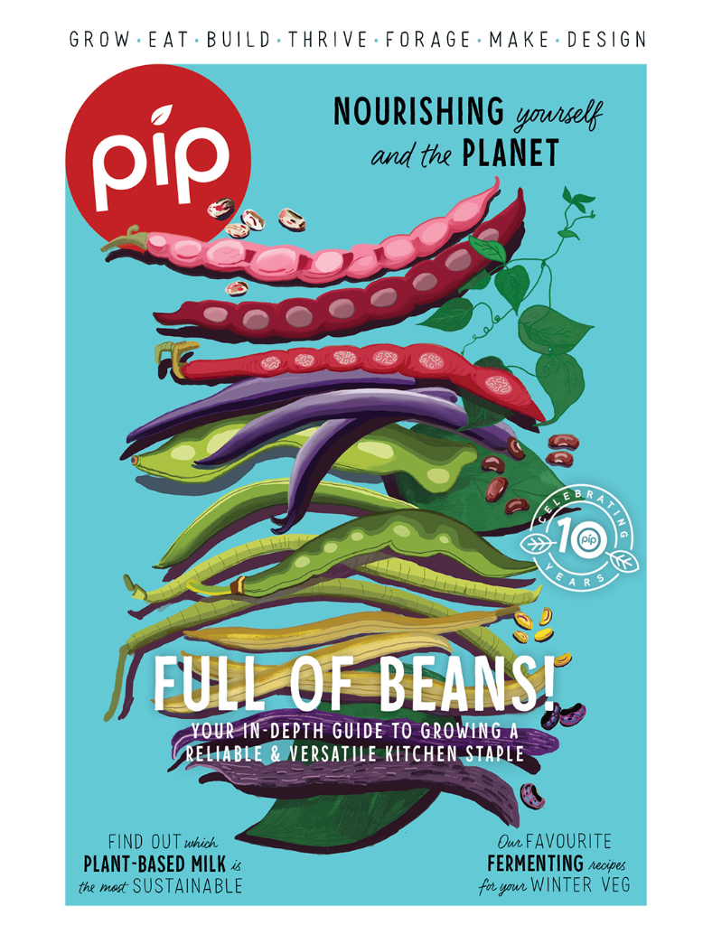 Pip Magazine Issue 33 with Bean Pods on Cover, Urban Revolution