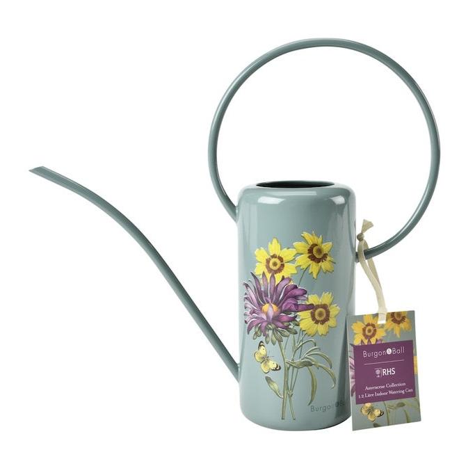 Indoor Watering Can with Daisy illustrations