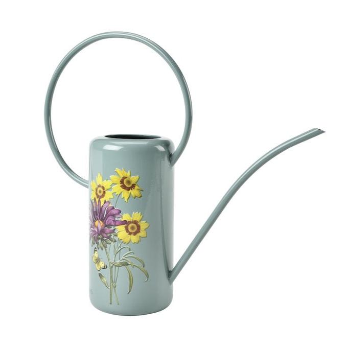 Gift Watering can for indoor plants