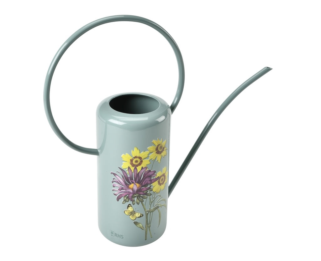 Sage green indoor watering can