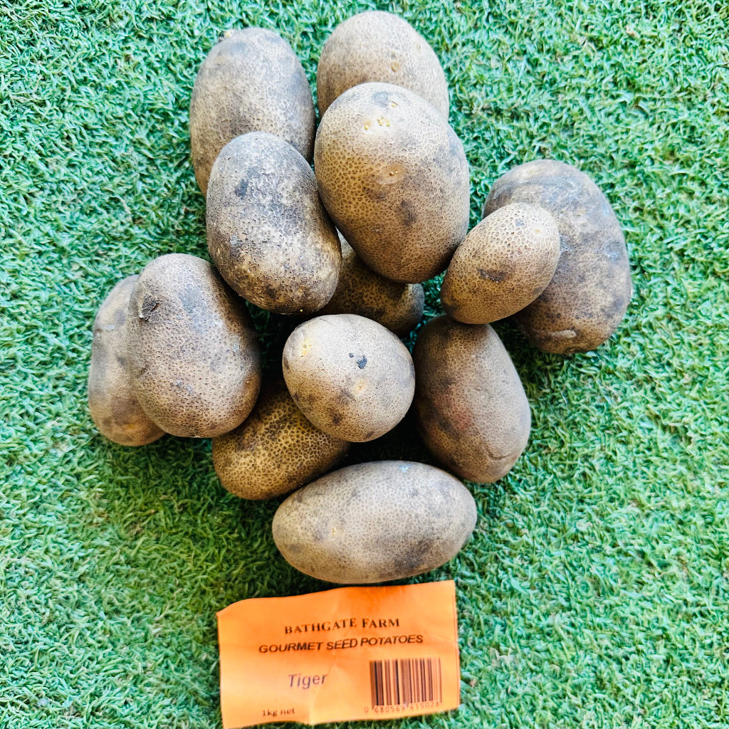 Bathgate Farm Gourmet Seed Potatoes - Tiger