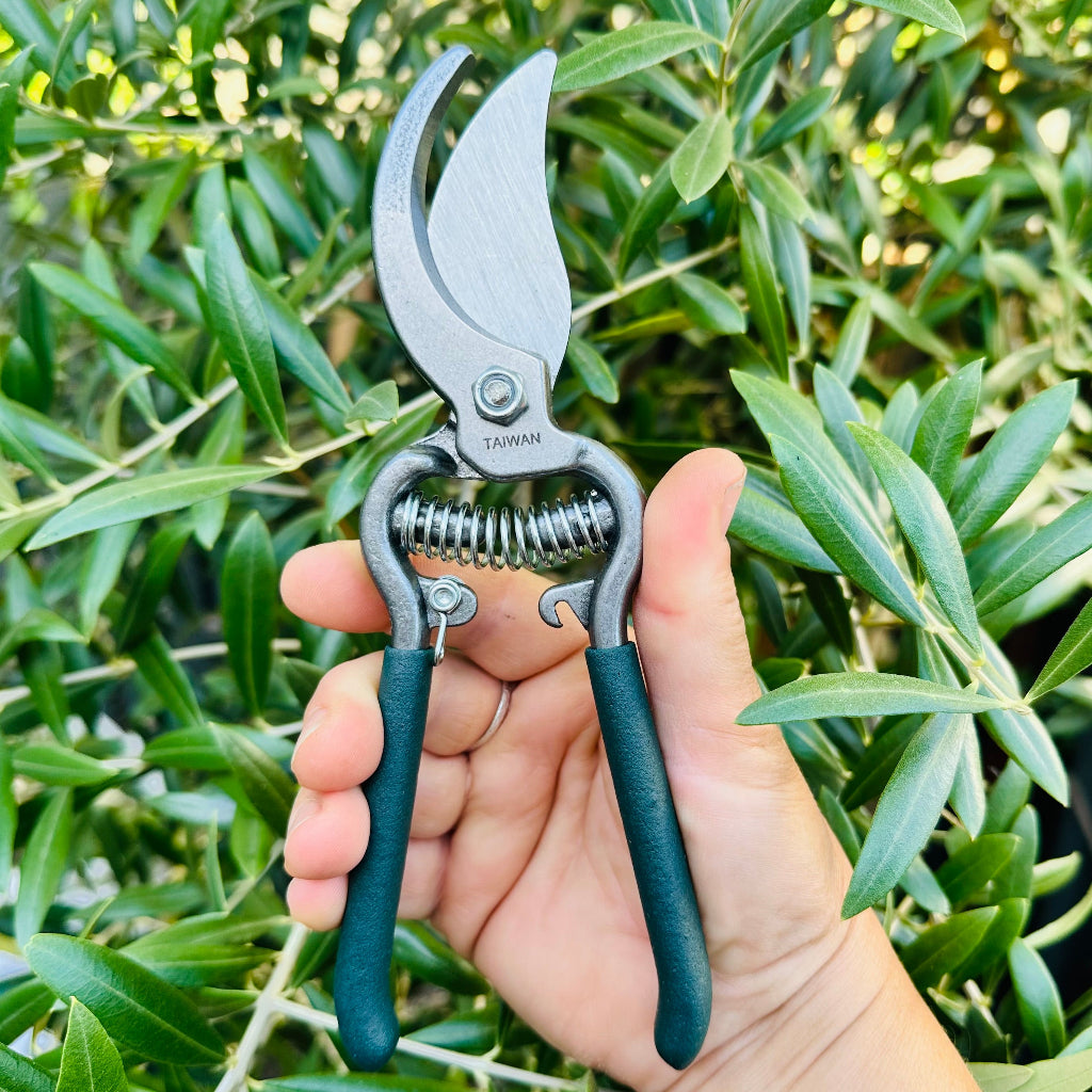 Tiller and Rowe Heavy Duty Bypass Pruning Shears.