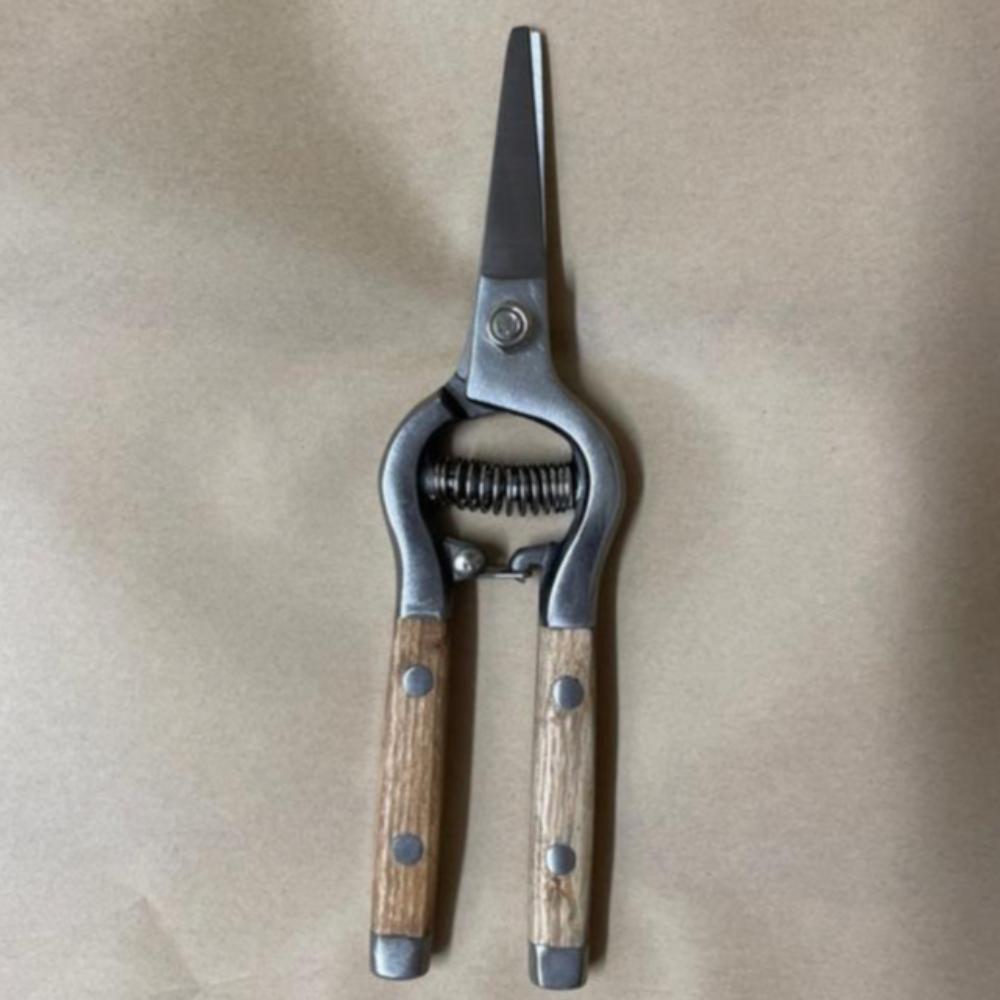 traditional garden snips in stainless steel and timber handles