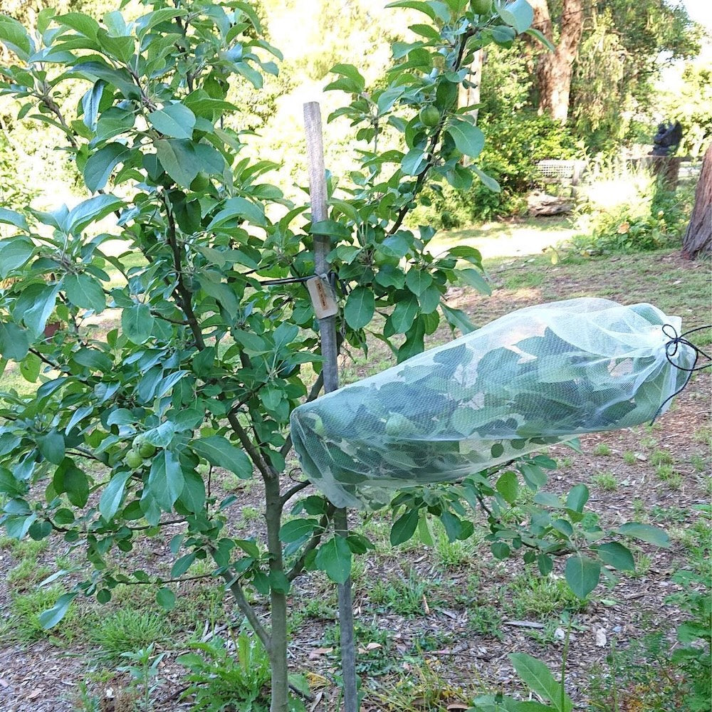 fruit protection sleeve or bag