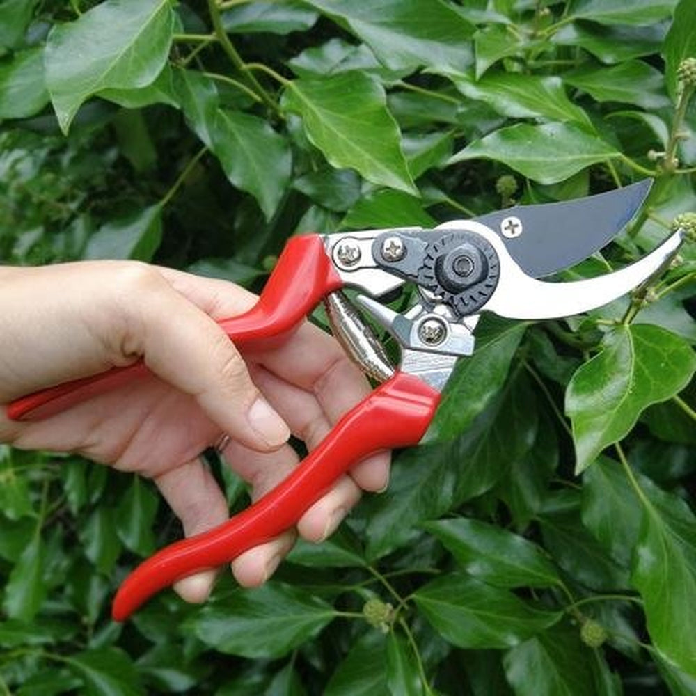 Left Handed Bypass Secateurs by Burgon &amp; Ball