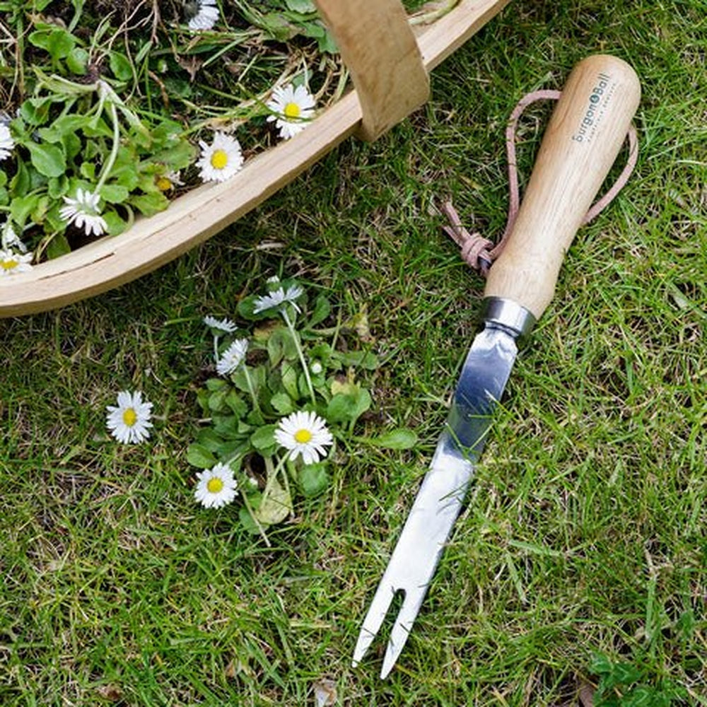 Stainless Steel Daisy Weeder in the Garden, Burgon &amp; Ball