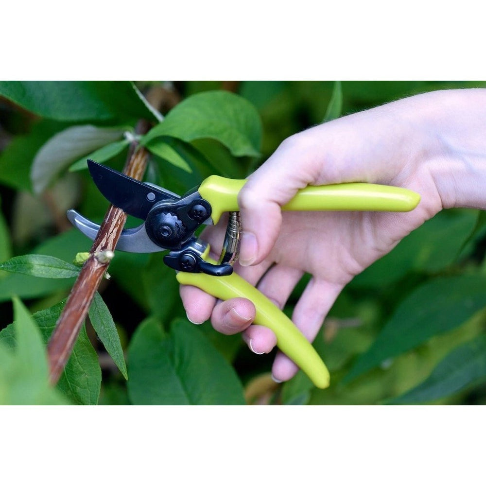 Micro Secateurs from Burgon & Ball, In Use