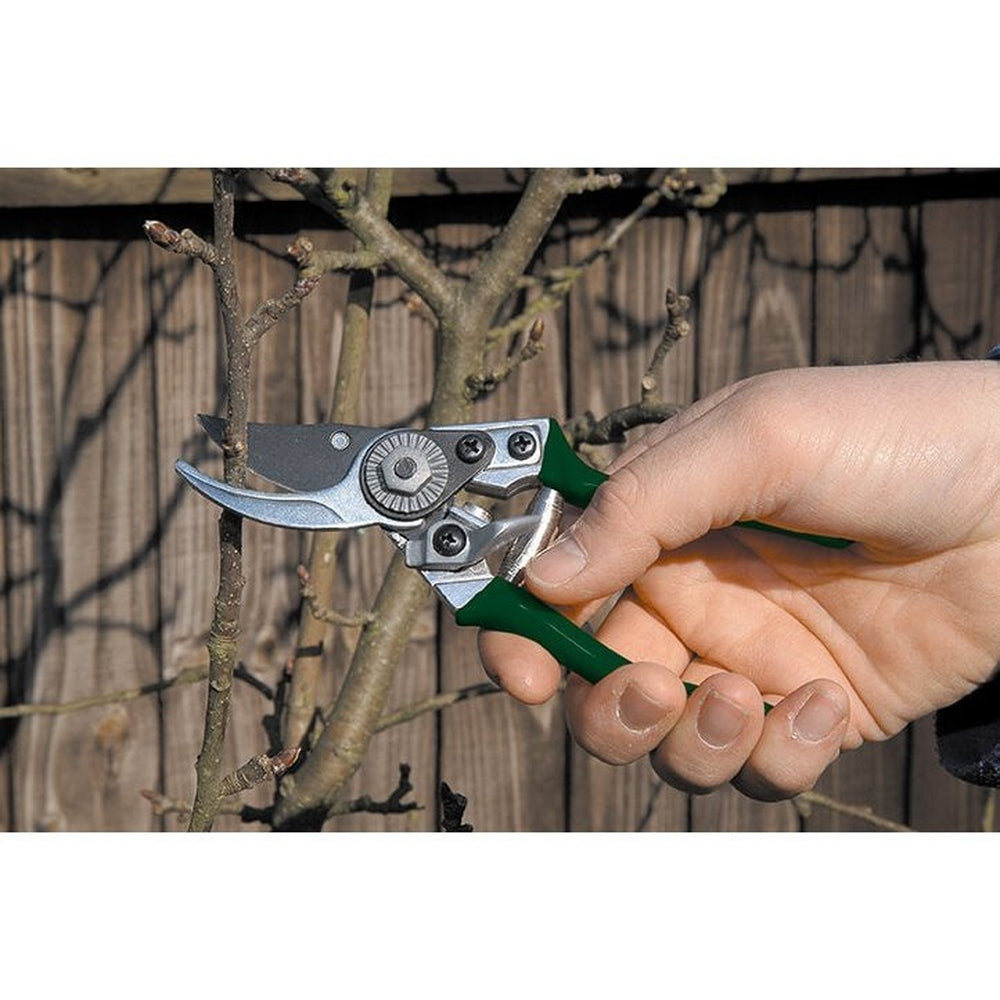 Pruning with the Pocket Pruner by Burgon &amp; Ball