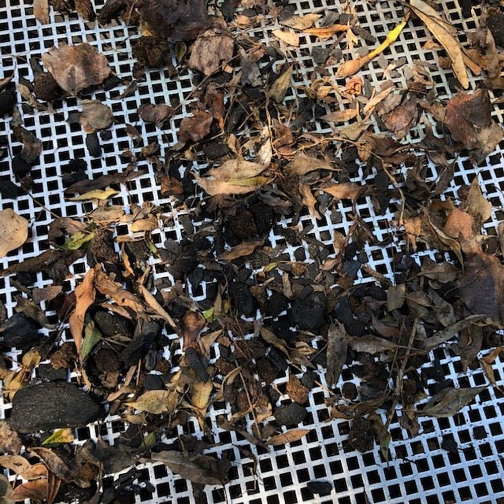 Material Sifted Out of Soil Using the Compost Sieve for Wheelbarrows