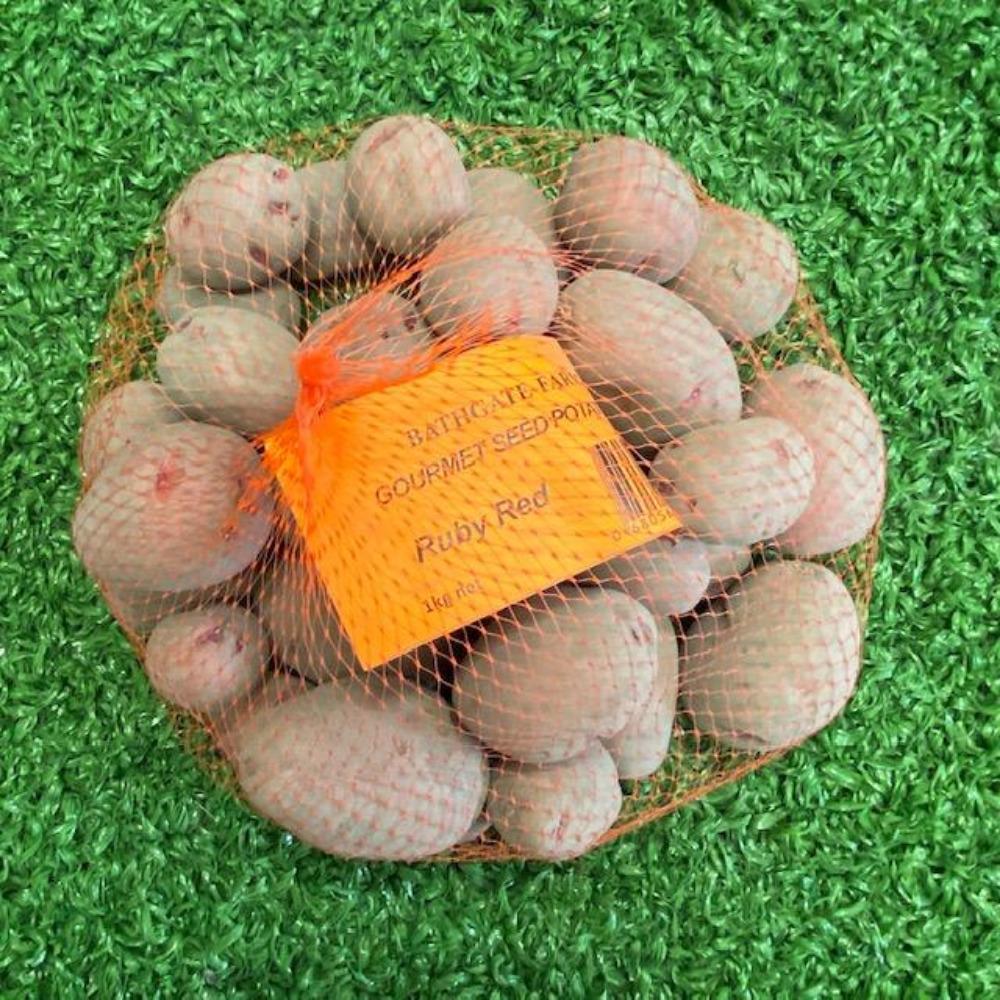 Bathgate Farm Gourmet Seed Potatoes - Ruby Red