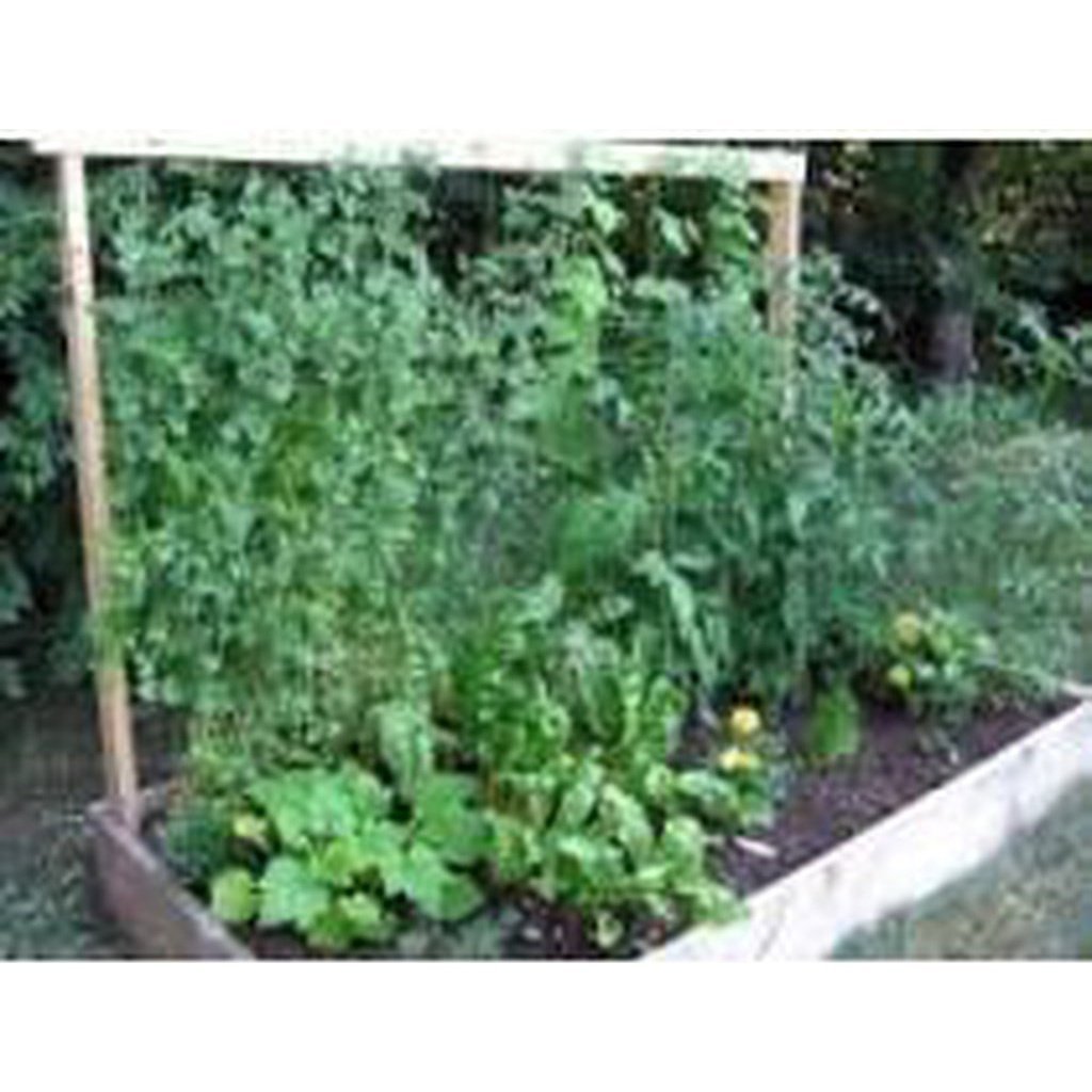 Plant Support Netting, Jute Netting Compostable Natural Garden Netting for  climbing vegetable,1m*5m